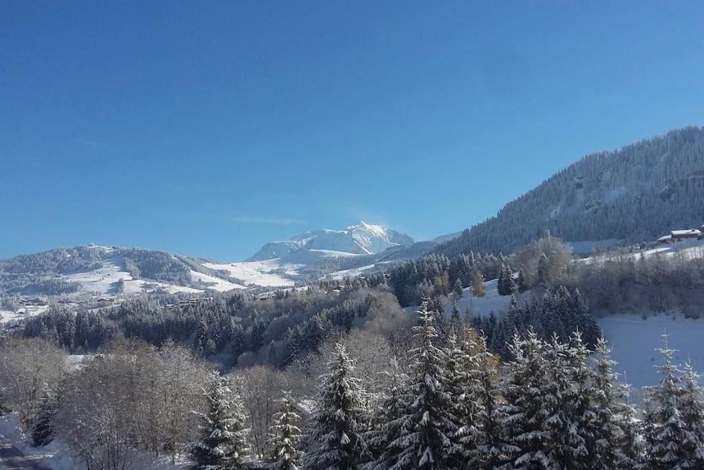 Chalet Vue Mont-Blanc, +4 Chambres, Cheminee Megève Eksteriør billede